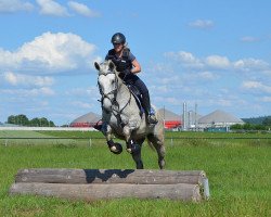 dressage horse Eva S (Hanoverian, 2009, from Espri)