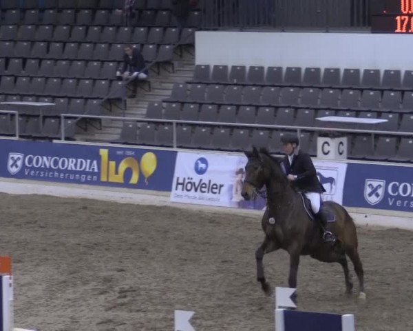 VER-Dinale 2015