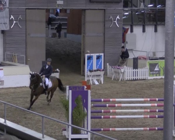 VER-Dinale 2015