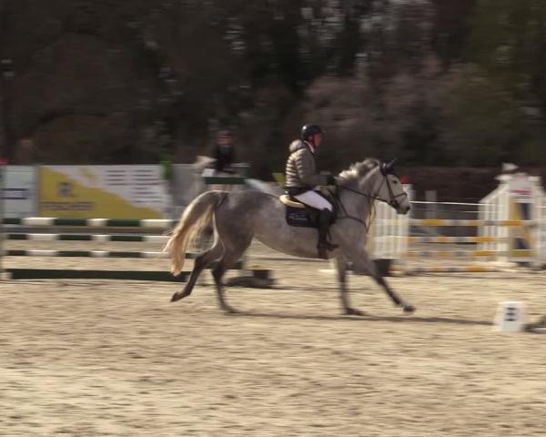 Rideturnering Lentzke - Reitanlage Krehl 2026