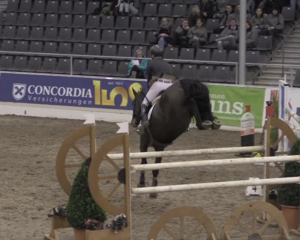 VER-Dinale 2015