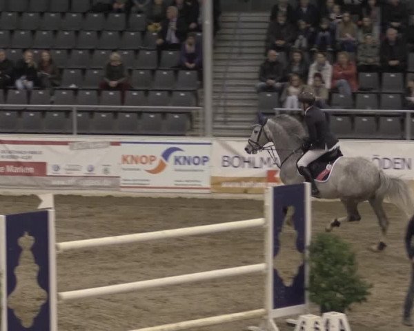 VER-Dinale 2015