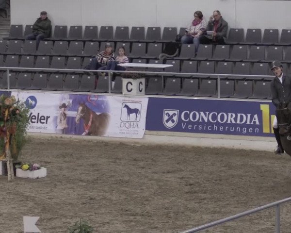 VER-Dinale 2015