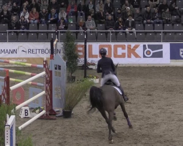 VER-Dinale 2015