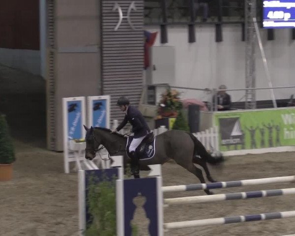 VER-Dinale 2015