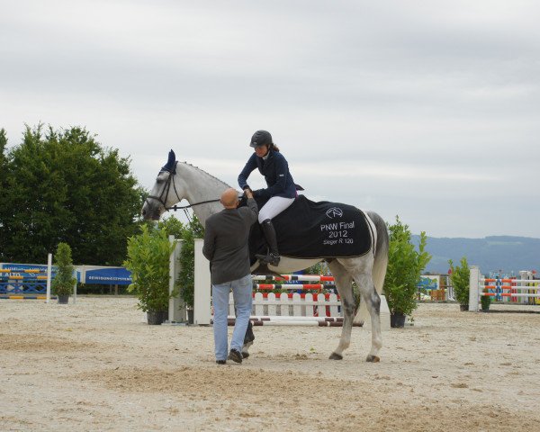 jumper Bonfire III (Belgian Warmblood, 2001, from Olympic Ramiro) jumper Bonfire III (Belgian Warmblood, 2001, from Olympic Ramiro)