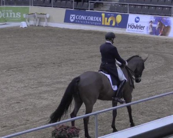 VER-Dinale 2015