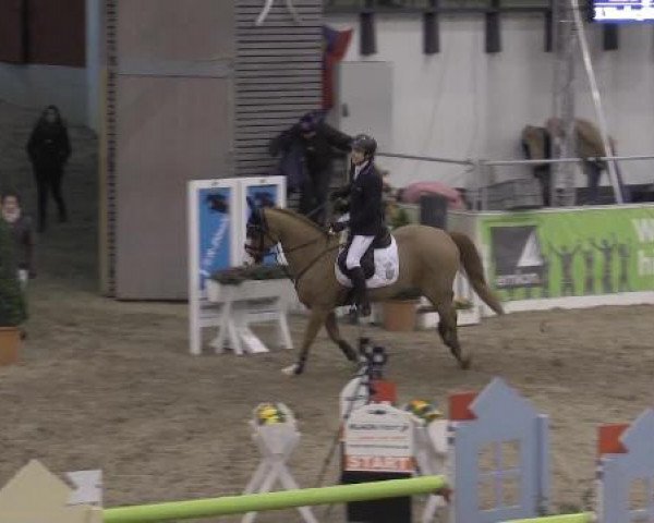 VER-Dinale 2015