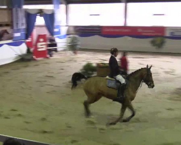 Hallenspringturnier in Münster - Albachten 2015