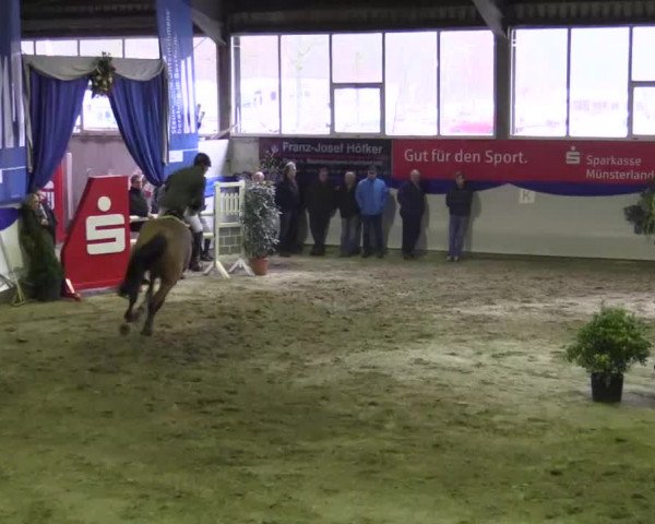 Hallenspringturnier in Münster - Albachten 2015