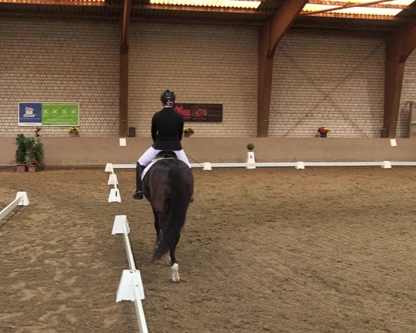 Reitturnier Kamen 2021