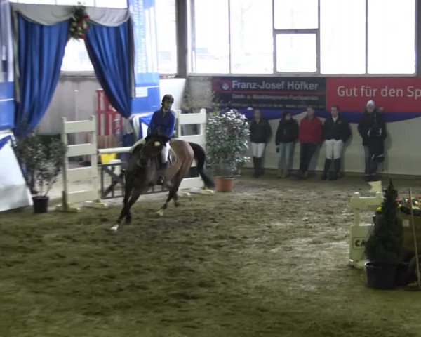 Hallenspringturnier in Münster - Albachten 2015