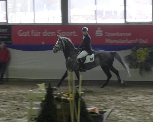Hallenspringturnier in Münster - Albachten 2015