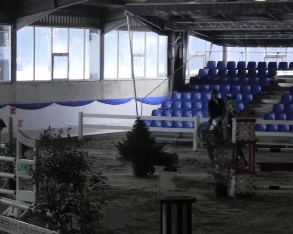 Hallenspringturnier in Münster - Albachten 2015