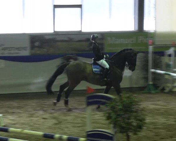 Hallenspringturnier in Münster - Albachten 2015