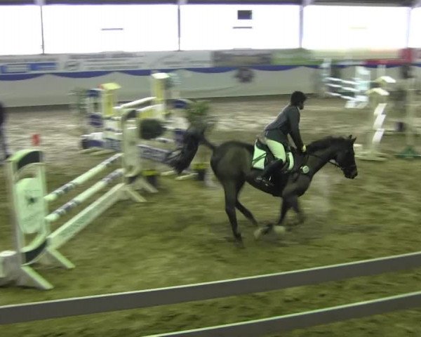 Hallenspringturnier in Münster - Albachten 2015
