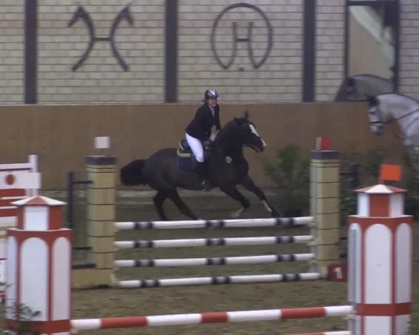 Late-Entry Hamm-Rhynern 2015