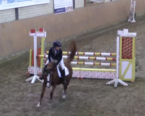 Late-Entry Hamm-Rhynern 2015