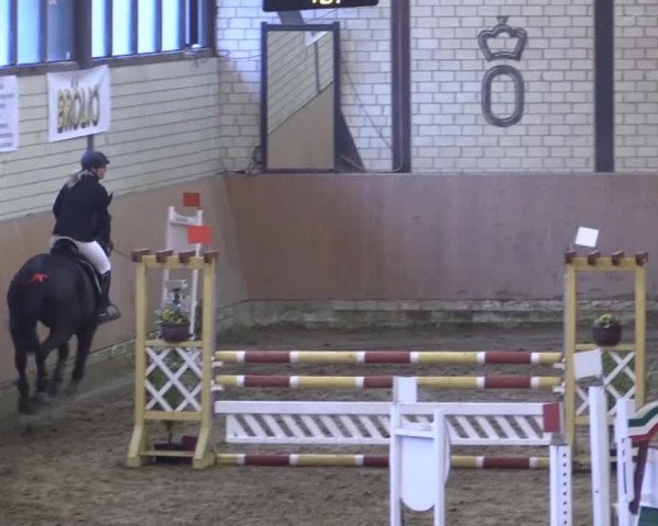 Late-Entry Hamm-Rhynern 2015