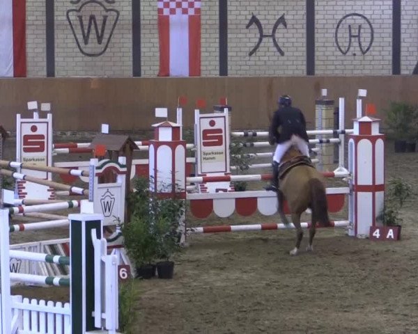 Late-Entry Hamm-Rhynern 2015