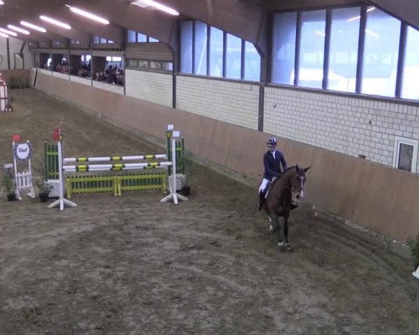 Late-Entry Hamm-Rhynern 2015