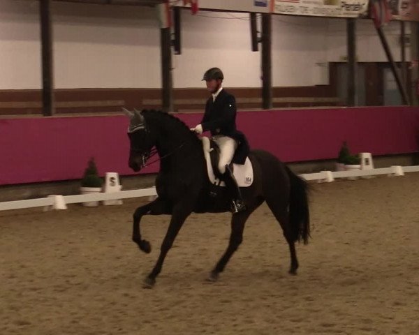Reitturnier Vlotho-Exter 2021