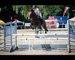 broodmare Bendelin 2 (KWPN (Royal Dutch Sporthorse), 2006, from S.I.E.C. Royal Star)