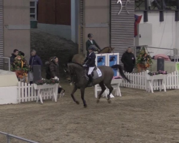 VER-Dinale 2015