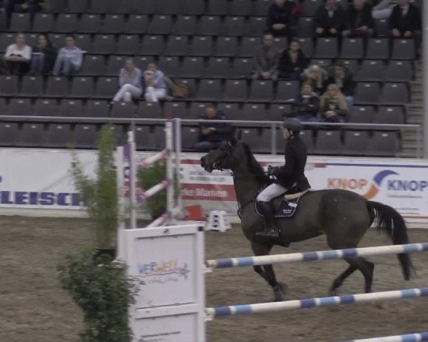 VER-Dinale 2015