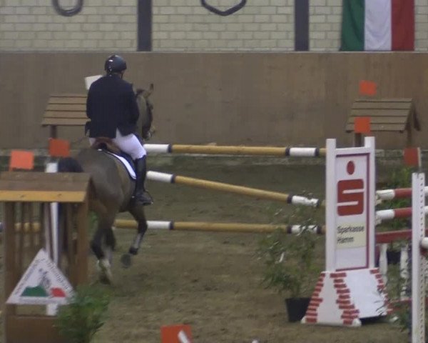 Late-Entry Hamm-Rhynern 2015