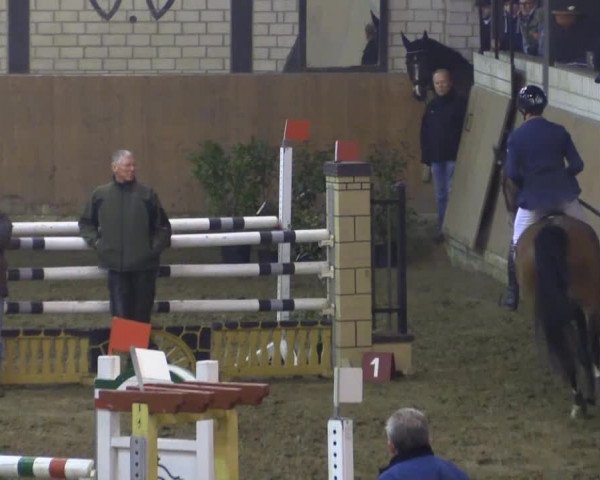 Late-Entry Hamm-Rhynern 2015
