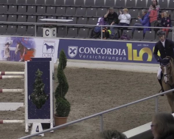 VER-Dinale 2015