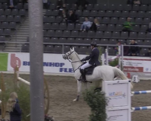 VER-Dinale 2015