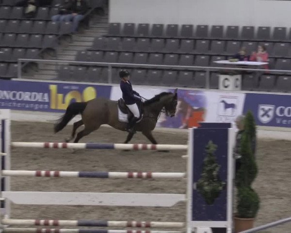 VER-Dinale 2015