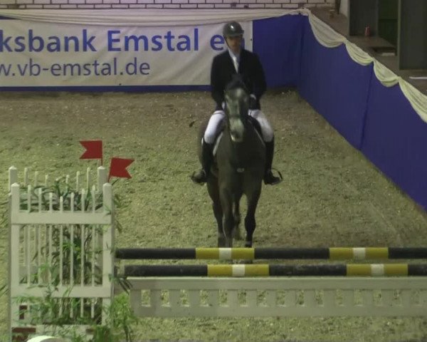 Spring-Pferde-Festival Lathen 2015
