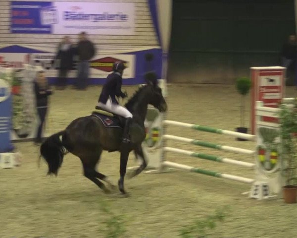 Spring-Pferde-Festival Lathen 2015