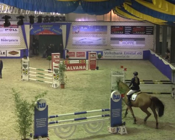Spring-Pferde-Festival Lathen 2015