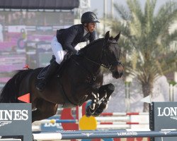 jumper H.forever Young B-Fbh (KWPN (Royal Dutch Sporthorse), 2012, from Peter Pan)