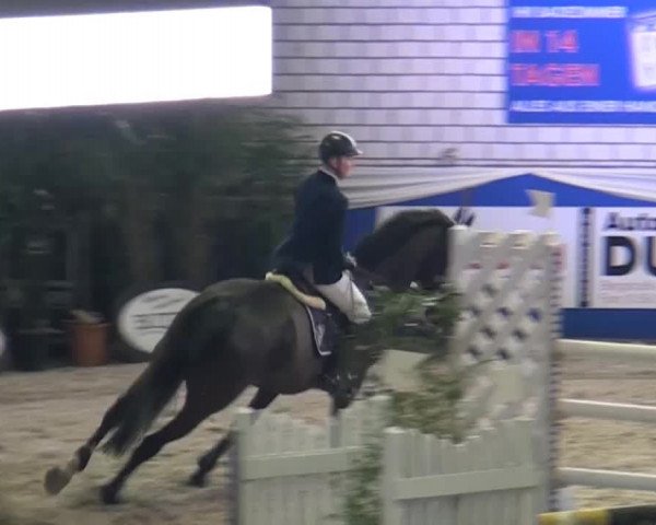Spring-Pferde-Festival Lathen 2015
