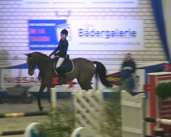 Spring-Pferde-Festival Lathen 2015