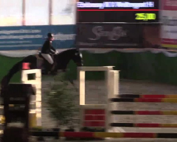 Keppelner Springpferdemeeting 2015