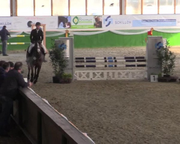Keppelner Springpferdemeeting 2015