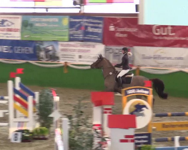 Keppelner Springpferdemeeting 2015