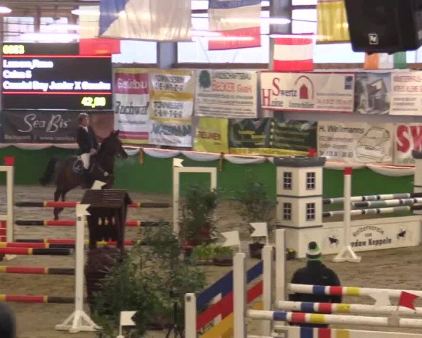 Keppelner Springpferdemeeting 2015