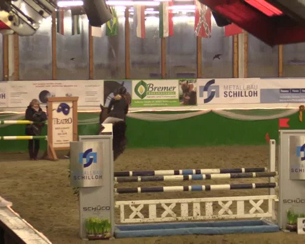 Keppelner Springpferdemeeting 2015
