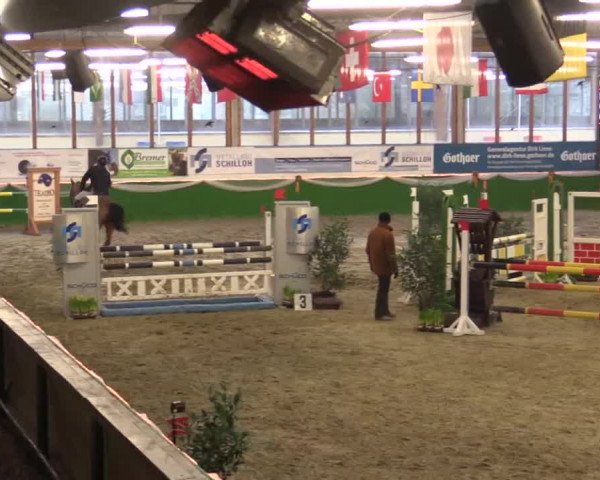 Keppelner Springpferdemeeting 2015