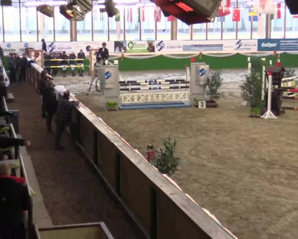 Keppelner Springpferdemeeting 2015