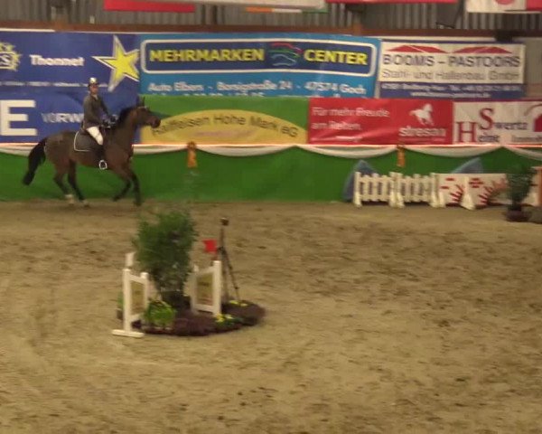 Keppelner Springpferdemeeting 2015
