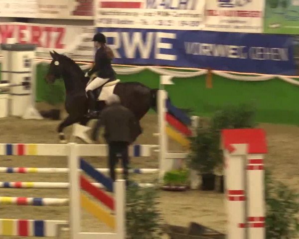 Keppelner Springpferdemeeting 2015