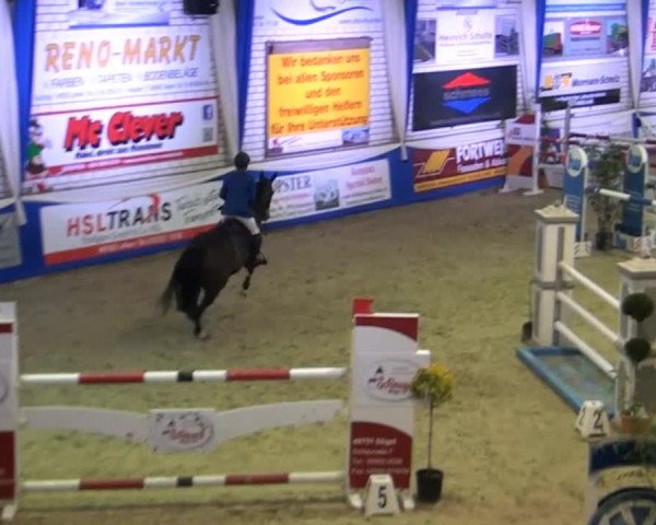 Spring-Pferde-Festival Lathen 2015